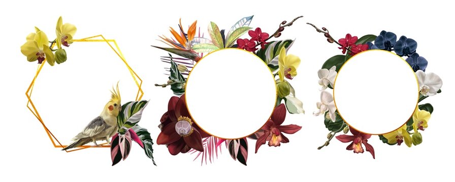 A set of tropical frames. Parrots. Realistic illustration of tropical flowers and leaves.