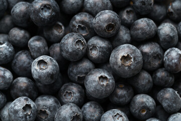 Closeup shot of fresh organic blueberries