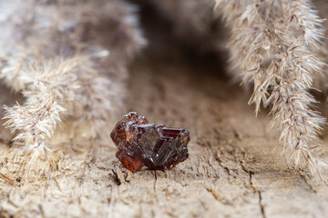 Unpolished rough red Spessartine garnet gem stone