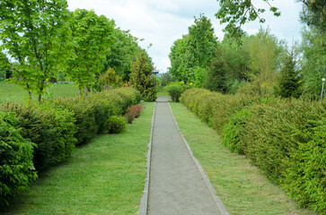 Fototapeta na wymiar path in the garden
