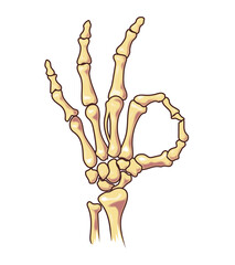 Skeleton hand showing OK sign