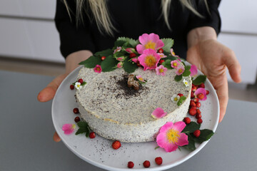 Homemade birthday cake for dog / Poppy seed cheesecake - 516136956