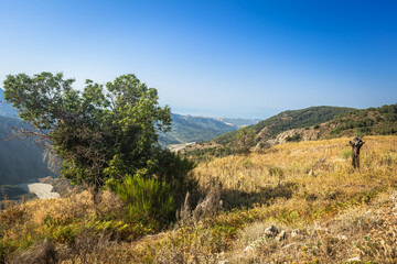View from Aspromonte towards olive garden hills and mediterranean sea in Calabria near Bagaladi town - 516137548