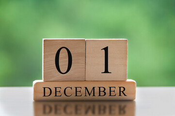 December 1 text on wooden blocks with blurred nature background. Copy space and calendar concept