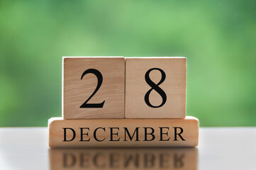 December 28 text on wooden blocks with blurred nature background. Calendar concept