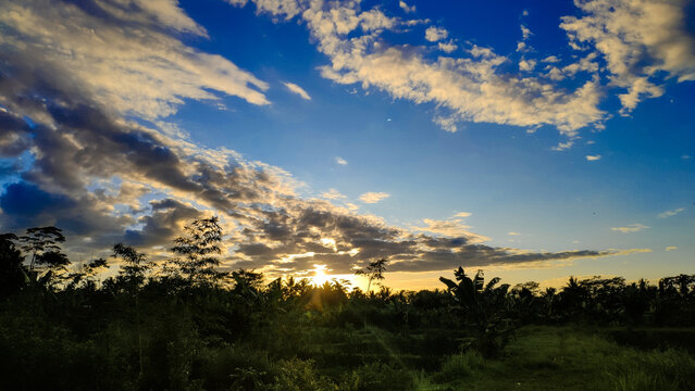 Grateful Sunrise, A Morning Glory View Taken In The Rice Field At Border Of The Village. The View Is Majestic And Power Up Your Days