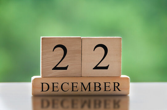 December 21 text on wooden blocks with blurred nature background. Calendar concept