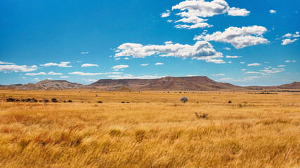 Fototapeta na wymiar Yellow brown grass growing on African savanna, few bushes and trees, small rocky mountains in background - typical scenery at Maninday region, Madagascar