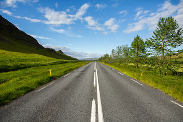 Fototapeta premium Very picturesque empty road in iceland in summer. Asphalt road as a symbol of freedom and travel.