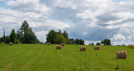 hayballs on the field