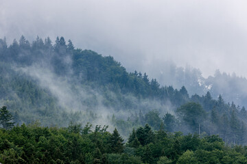 graue Wolken mit Nebelschwaden über Waldhang aus Fichten