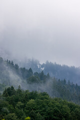 graue Wolken mit Nebelschwaden über Waldhang aus Fichten