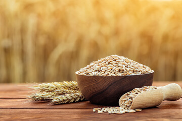 wheat grains in wooden bowl and scoop on table outdoors