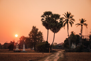 Don Det, Laos - January 19th, 2020 : sunset on the island with silhouettes of stupas and palm trees and a dirt pathway in the foreground