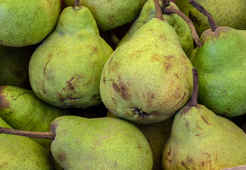 fresh organic pear from farm close up from different angle