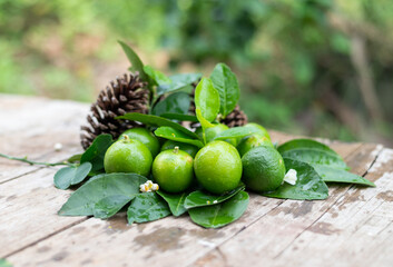 cones on a wooden table