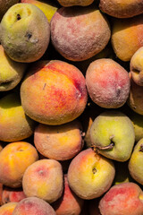 fresh organic peach from farm close up from different angle