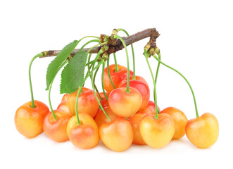 Cherry branch isolated on white background