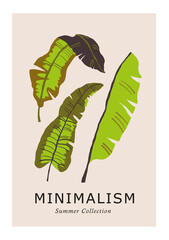 Vintage style minimalistic poster with banana leaves. Interior tropical poster design in minimalism