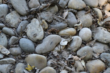 gros plan cailloux