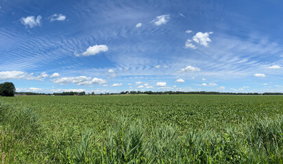 Panorama from farmland around Steenwijkerwold