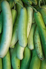 fresh organic bottle gourd from farm close up from different angle