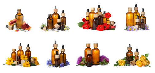 Set with different natural essential oils and flowers on white background. Banner design