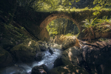 Fototapeta na wymiar Fairy Tale Deep Forest with an Enchanting Stone Bridge