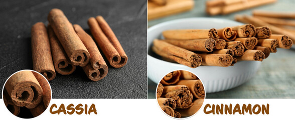 Collage with photos of cassia and ceylon cinnamon sticks. Banner design - obrazy, fototapety, plakaty