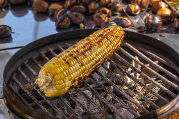 Fire-roasted sweet corn is sold on the street. Street food. Fast food