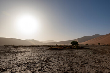 Foggy sunrise over the sand dune in Sossuvlei, Namib desert, Namib-Naukluft National Park, Namibia