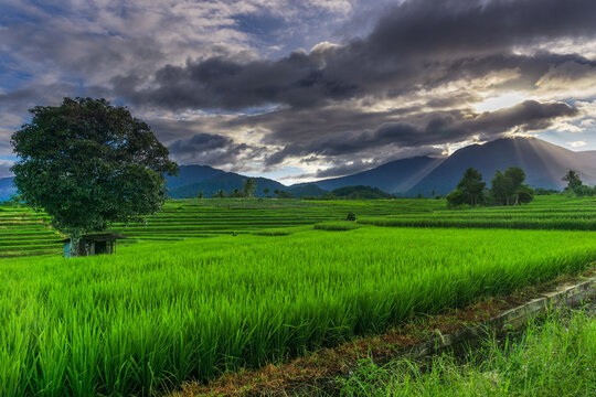 Nature panorama of green rice fields and flowing water in the mountains of rural area of Indonesia with sunrise