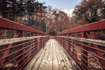 Bridge with rusty reiling in the Acadia National Park, Maine