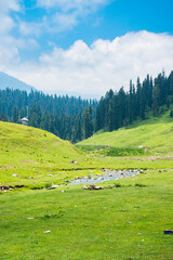 Gulmarg, Baisaran Valley( Mini Switzerland) Pahalgam, Jammu and Kashmir, India.