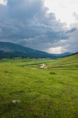 Fototapeta na wymiar Greenery surrounded by mountains in Gulmarg, Jammu & Kashmir, India.