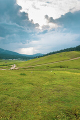 Fototapeta na wymiar Greenery surrounded by mountains in Gulmarg, Jammu & Kashmir, India.