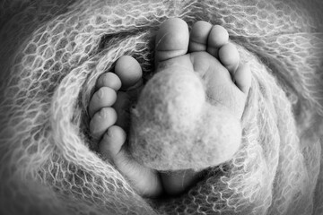 Knitted heart in the legs of a baby. Soft feet of a new born in a wool blanket. Close-up of toes, heels and feet of a newborn. Macro black and white photography the tiny foot of a newborn baby.