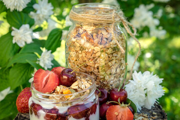 A healthy breakfast  parfe consisting of yoghurt, granola and berries in a glass jar served on a wooden stub in the garden with white flowers in the background