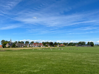 Fototapeta premium The town Kuinre in Overijssel the Netherlands