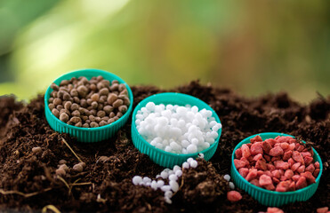 fertilizer in soil. The concept of plant care is the need for feeding with various fertilizers. Text N, P, K