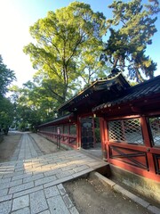 Japanese shrine in the evening, “Nezu” shrine in Tokyo Nezu, honorable shrine established way back, rebuilt by Tokugawa shogunate of Edo period.  Photo taken year 2022 July 8th
