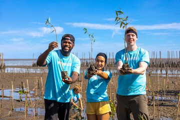 Team of young and diversity volunteer worker group enjoy charitable social work outdoor in mangrove...