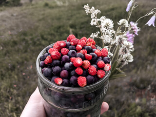 berries in a hand