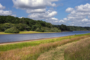 View of Bewl Water reservoir on a summer afternoon, Kent, South of England