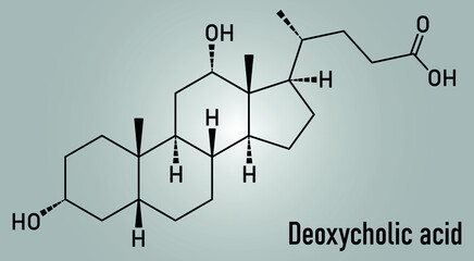 Skeletal formula of Deoxycholic acid bile acid molecule. Also used as drug.