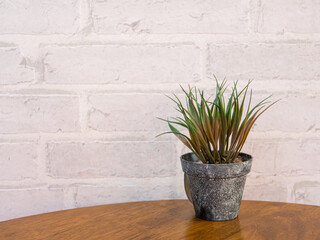 small plant pot on table white brick background .