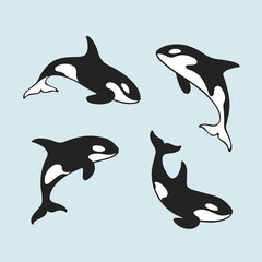 Orcinus orca. Cute killer whale sketch line icon. Сute animals set of icons. © Lili Kudrili