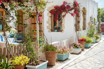 Fototapeta na wymiar Cozy Greek house decorated with Petunia, bougainvillea and other beautiful flowers. Typical street in Lerapetra - seaside town in the southern part of Crete island, Greece.