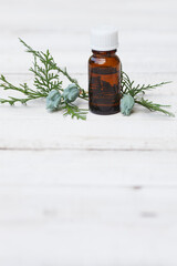 Thuja occidentalis essential oil (extract, tincture) container with thuja seeds on white wooden background