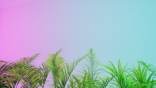 copy space gradient colorful background with tropical plants leaves,muted colors, pink blue colors